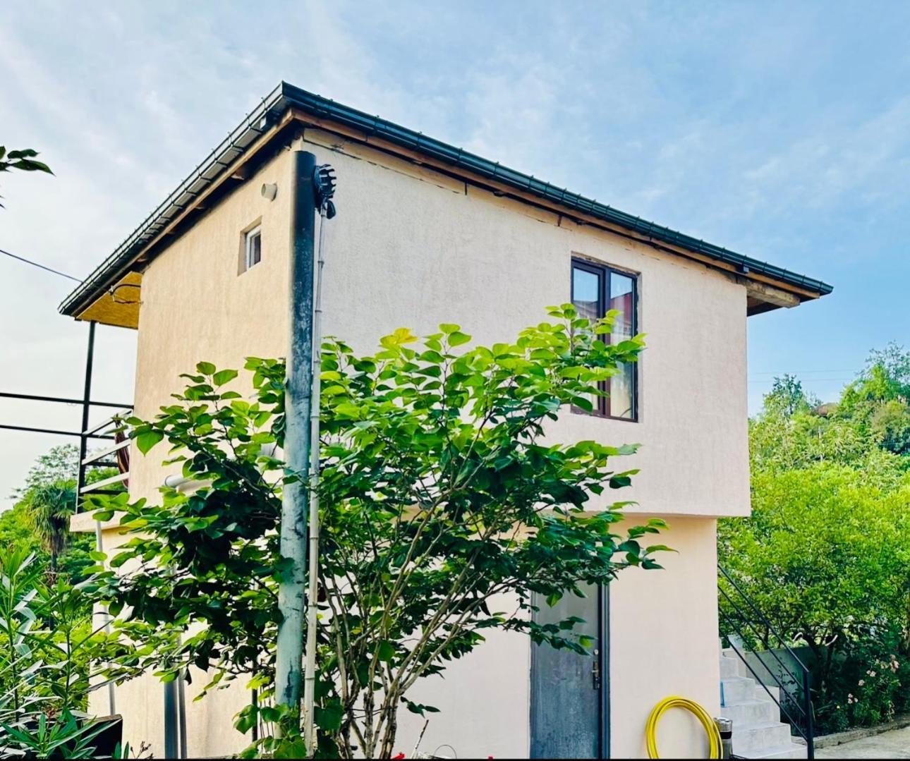 ホテル Nita House バトゥーミ エクステリア 写真
